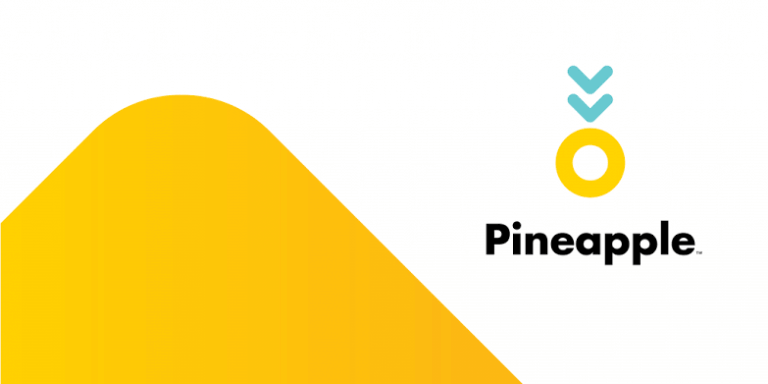 Pineapple Insurance South Africa All You Need To Know The Fintech Africa